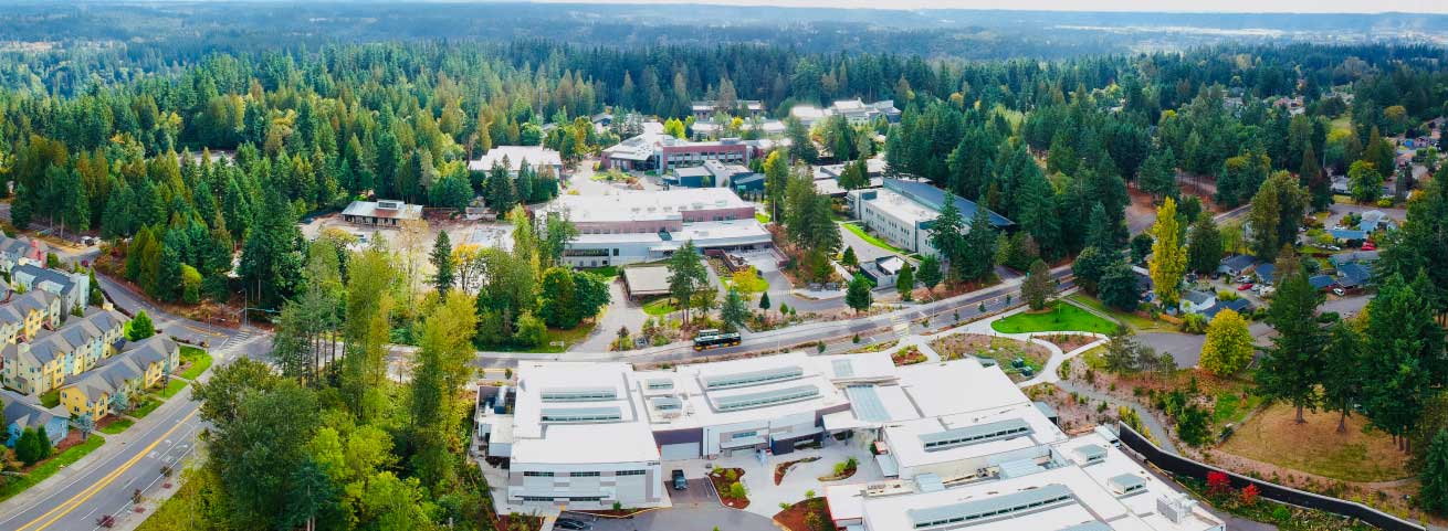 modern buildings surrounded by forest
